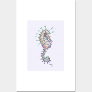 Seahorse drawing Posters and Art